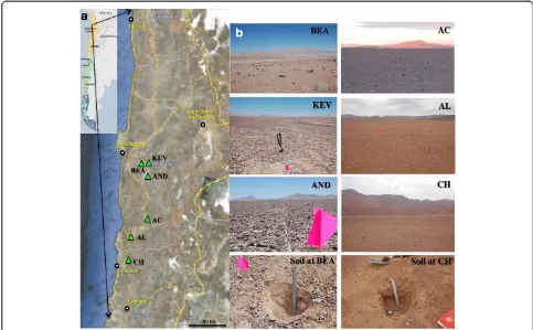 Figure 1 Sampling site locations. (a) Relief map of northern Atacama Desert, Chile, with key field locations marked by green triangles; (b)photos of Kevin Garden (KEV), Bea Hill (BEA), Andrew Garden (AND), Aguas Calientes (AC), Altamira (AL), and Chañaral (CH) sampling locations.