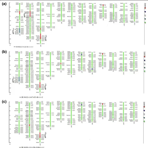 Fig. 2 Graphical representation of the background recovery of NILs (a) IR 96322-34-223-B-1-1-1-1 (b) IR 96321-1447-651-B-1-1-2 (c) IR 94391-131-358-19-B-1-1-1 using molecular marker data was performed in Graphical Genotypes (GGT 2.0) software (Van Berloo 1