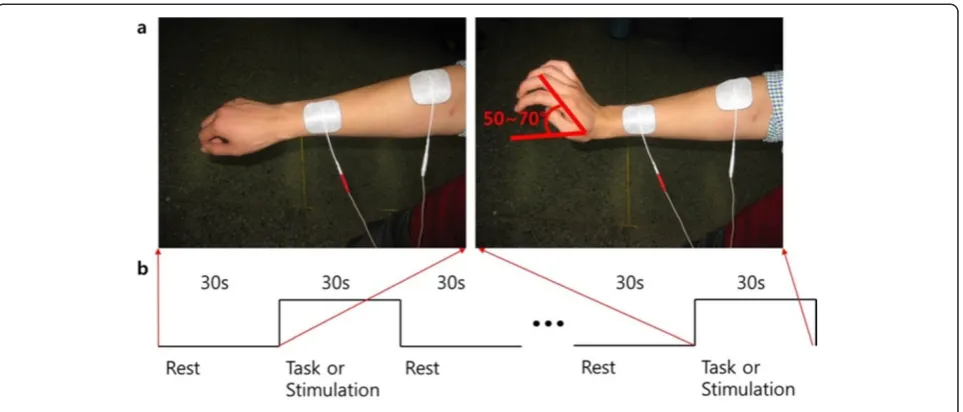 Figure 1 Experimental design..