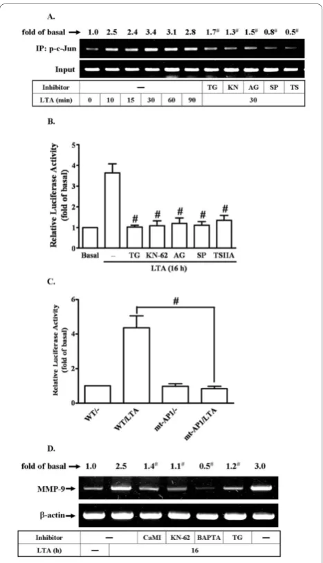 Figure 7B, pretreatment with TG (1 μM), KN-62 (10