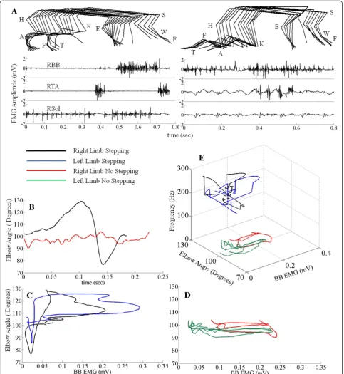 Figure 9 Algorithm validation using offline testing. EMG and kinematics responses when the forelimbs were stepping or not stepping.(A) 2-D stick diagrams (50 ms between sticks) of the limbs observed when the forelimbs were stepping or not stepping with the