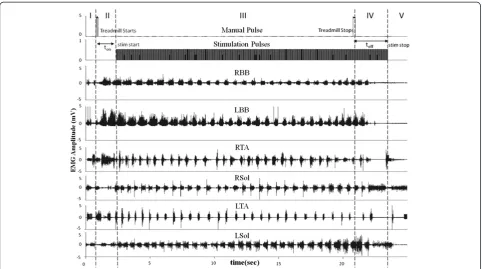 Figure 5 EMG recorded during stimulation through the second generation electronic bridge