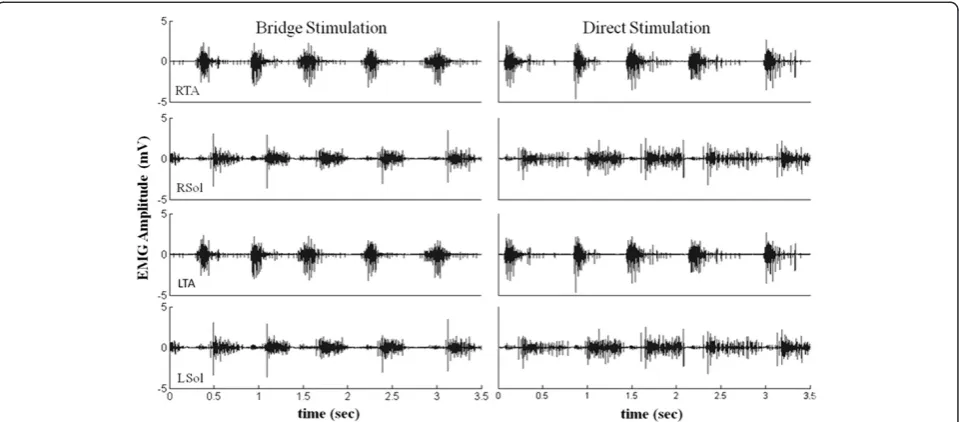 Figure 8 Stepping during electronic bridge stimulation vs. direct stimulation. Raw EMG activity from the hindlimb muscles bilaterallyduring quadrupedal stepping on a treadmill at 13.5 cm/s with stimulation via the bridge and with direct stimulation (stimulation without the useof the bridge).