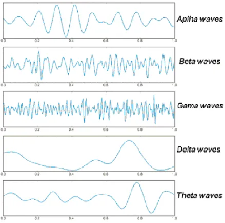 Figure 1.5: Rhythmic activity of the brain (source [14])  Rhythms of the EEG signals 