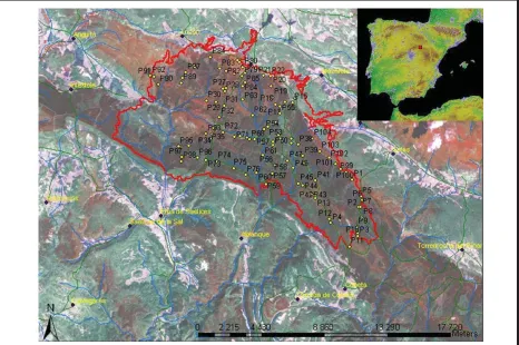 Figure 4.  Location of the study case.