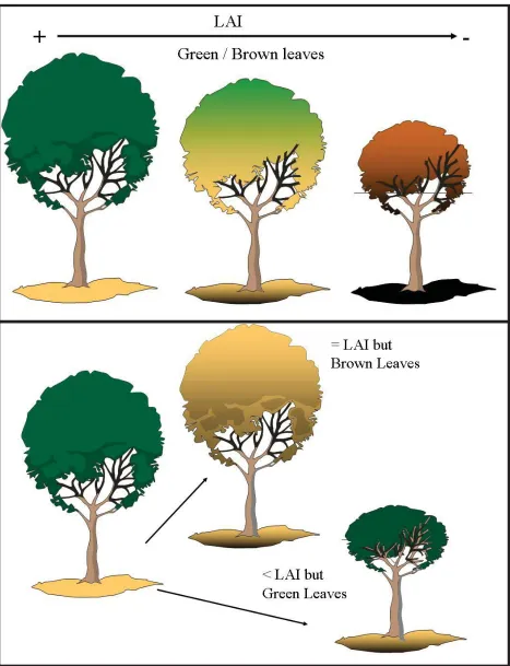 Figure 3.  Simulation strategies: top, PFA and PCC change simulteneously; bottom, PFA and PCC change independently.