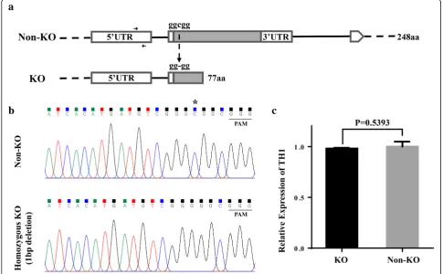 Table 2 Statistical analysis of transcriptome sequencing data