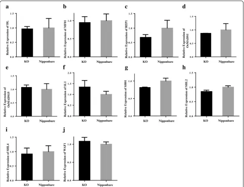 Fig. 5 Expression levels of known lemma/palea related genes. 10 previous known lemma/palea related genes expression profiles in KO and Non-CRISPR treated Nipponbare
