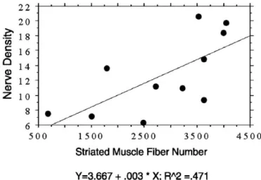 Figure 9. Correlation between nerve density (number per square millimeter) and total fiber number in the ventral wall of the urethra