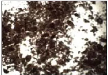 Fig. 4(a) FT-IR Spectra- Untreated Pistachio vera shell powder
