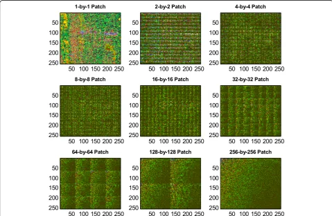 Fig. 3 DCT decomposed frames with different patch sizes. This figure shows virtually texturized results for 2-by-2 to 256-by-256 patch sizes in asample frame (256 × 256)