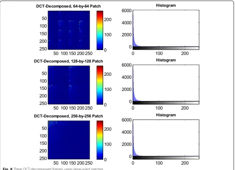 Fig. 8 Three DCT-decomposed frames using large-sized patches