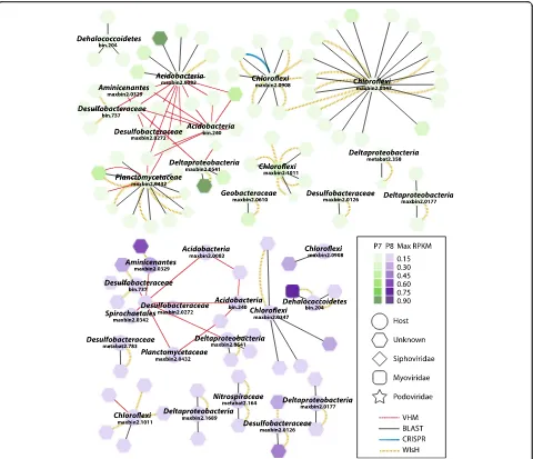 Fig. 6 Predicted virus-host linkages among candidate sulfate-reducing strains. Linkages are displayed based on wetland (P7 in green and P8 inpurple)