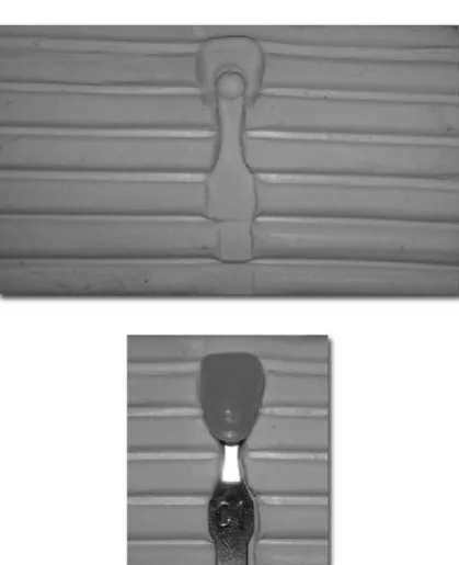 Fig. 1. Farnsworth® Test 