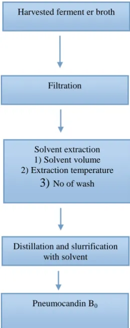 Figure 2: Steps for downstream processing of Pneumocandin B0 