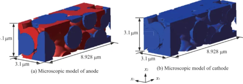 Figure 2: Model of microstructure of electrodes 