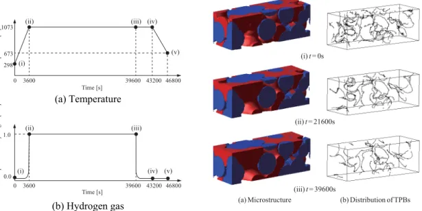 Figure 2 shows the microscopic analysis models of anode (Ni-YSZ) and cathode (LSCF)  microstructures, which are generated by the 3-dimensional porous material simulator POCO  [9]