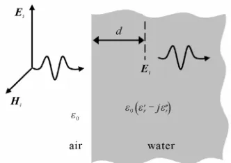 Figure 1. Plane wave penetrating fresh water at normal incidence.  