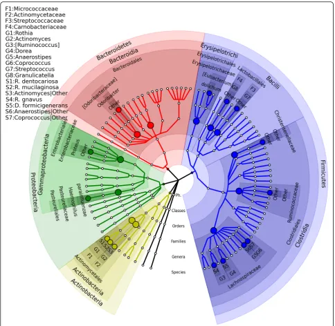 Fig. 5 The microbial association mapping of antibiotic history (ABH) in American Gut Project subjects (FDR = 0.05)