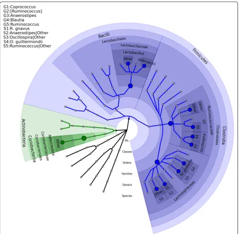 Fig. 7 The microbial association mapping of STAT vs control groups using the murine data (FDR = 0.05)
