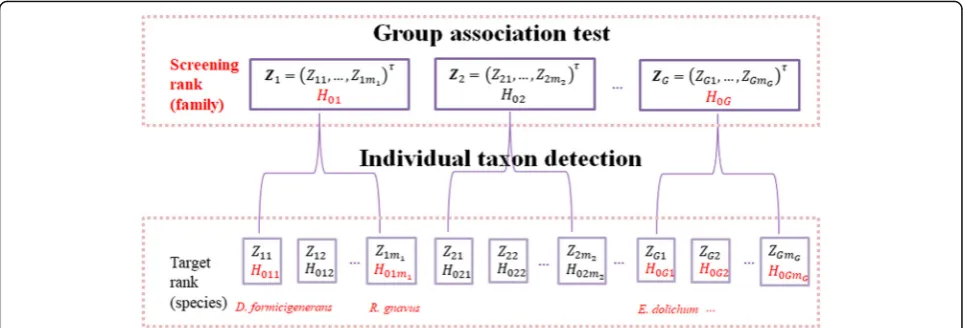 Fig. 1 Schematic of the two-stage microbial association mapping framework massMap. The association testing hypotheses are organized into atwo-level tree