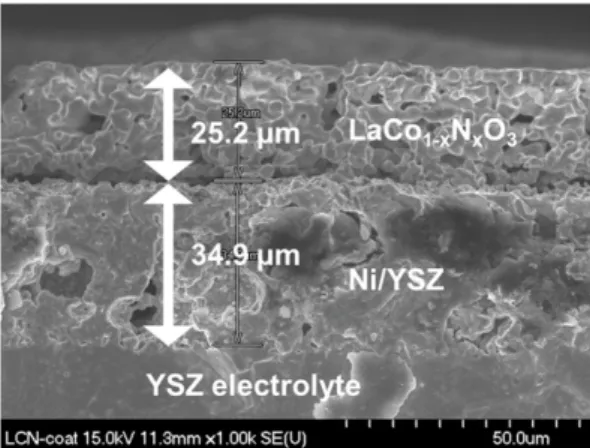 Fig. 7. SEM image of cut-view of the LCN-modified Ni/