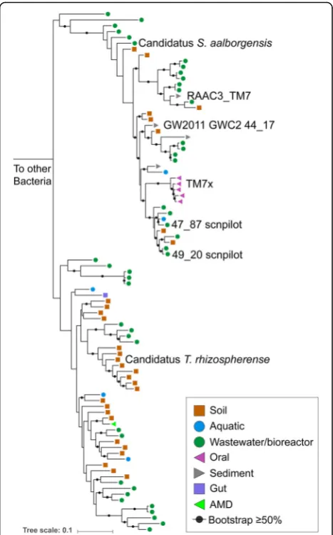 Fig. 2 Phylogeny of Saccharibacteria based on 16S rRNA genesequences. The maximum-likelihood tree shown was constructedfrom an alignment containing representative Saccharibacteria.Symbols indicate the environmental origin of the NCBI sequence.Named branche