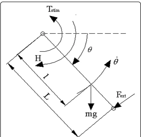 Figure 8 Schematic representation of the leg, modeled as a rigidcenter of the knee joint to the center of mass of the tibia,center of the calf pad of the Biodex dynamometer knee attachment orthe center of the load applied just proximal to the ankle when th