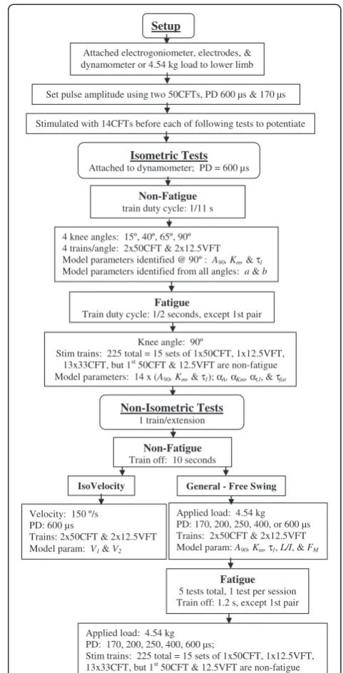 Figure 1 Flow chart of the testing protocol and the modelEquation (2) for all four knee angles