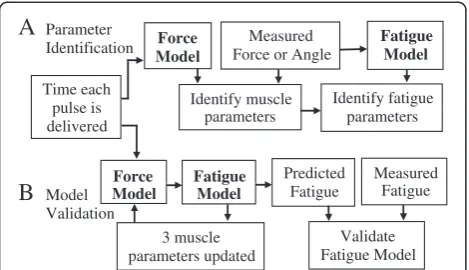 Figure 2 Block diagram demonstrating parameter identification(A) and prediction of fatigue (B) using the force-motion (Force)and fatigue models
