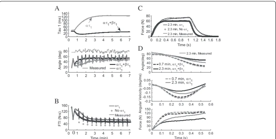 Figure 3 Effects of fatigue model parameters ατ1 and βτ1 on isometric and non-isometric contractions in one subject where βτ1 washigher than average
