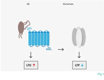 Fig 1 Amyloid (Aß) disrupts brain plasticity (LTP, LTD) 