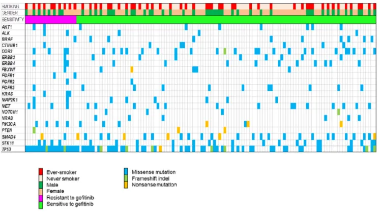 Figure 2: Landscape genomic profile of patients.  Samples are grouped by response to gefitinib.