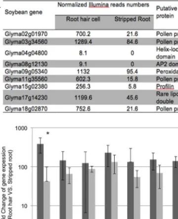 FIGURE 4 | Expression analyses of soybean root hair specific genes.