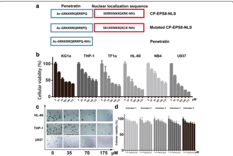 Fig. 3 Characterization of CP-EPS8-NLS, a specific peptide that localizes to the nucleus