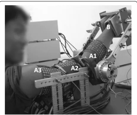 Figure 1 Experimental set-up. The three arrays (A1, A2 and A3)and the mechanical brace can be observed