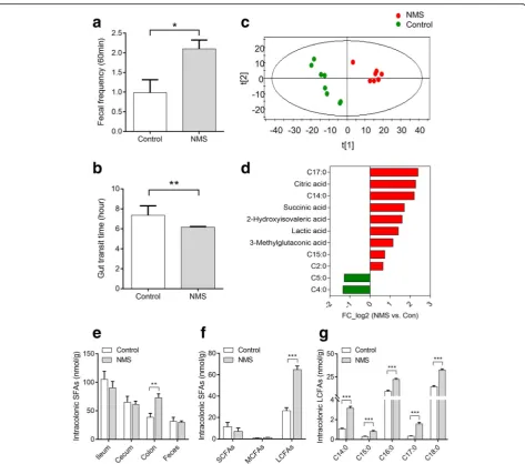Fig. 2 NMS rats are characterized by enhanced gut motility and upregulated intracolonic saturated long-chain fatty acids (SLCFAs) relative tocontrols (n = 8/group)
