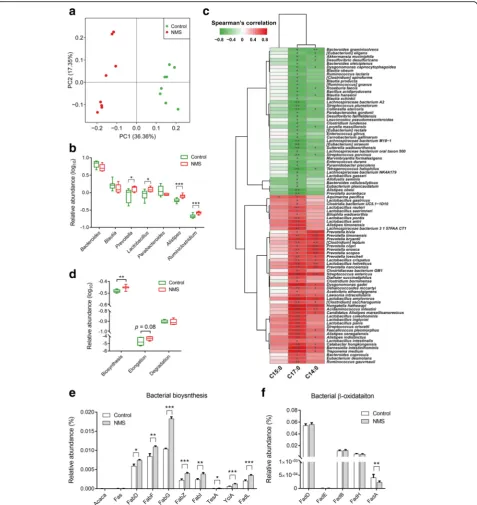Fig. 4 Alteration of fecal microbiome is closely associated with SLCFA generation in NMS rats (carboxylase; Fas, fatty acid synthase (bacteria type); FabD, Malonyl CoA-acyl carrier protein; FabF, 3-oxoacyl-[acyl-carrier-protein] synthase II; FabG,3-oxoacyl