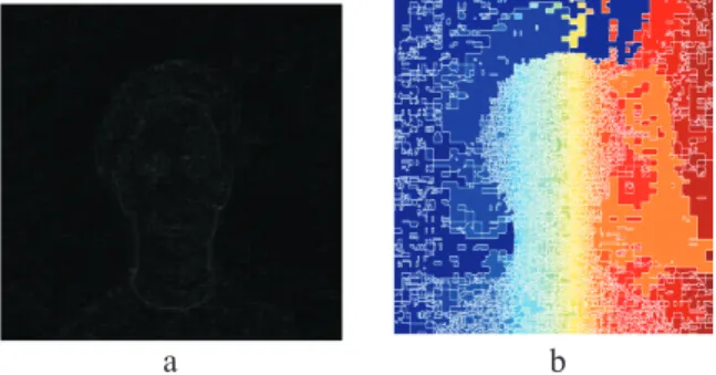Fig. 3. (a) Gradient Image of Cb Component; (b) Over Segmented Results using Traditional Watershed Algorithm.