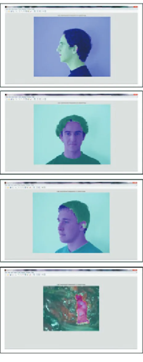 Fig. 5. Segmentation Results.