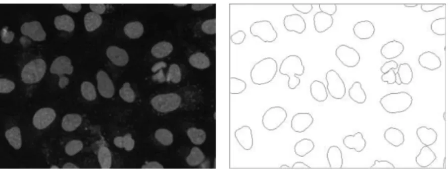 Figure 11: Example image of data set (left) and its hand-drawn ground truth (right).