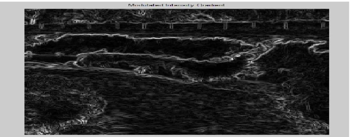 Figure 3. : Texture Gradient Image 