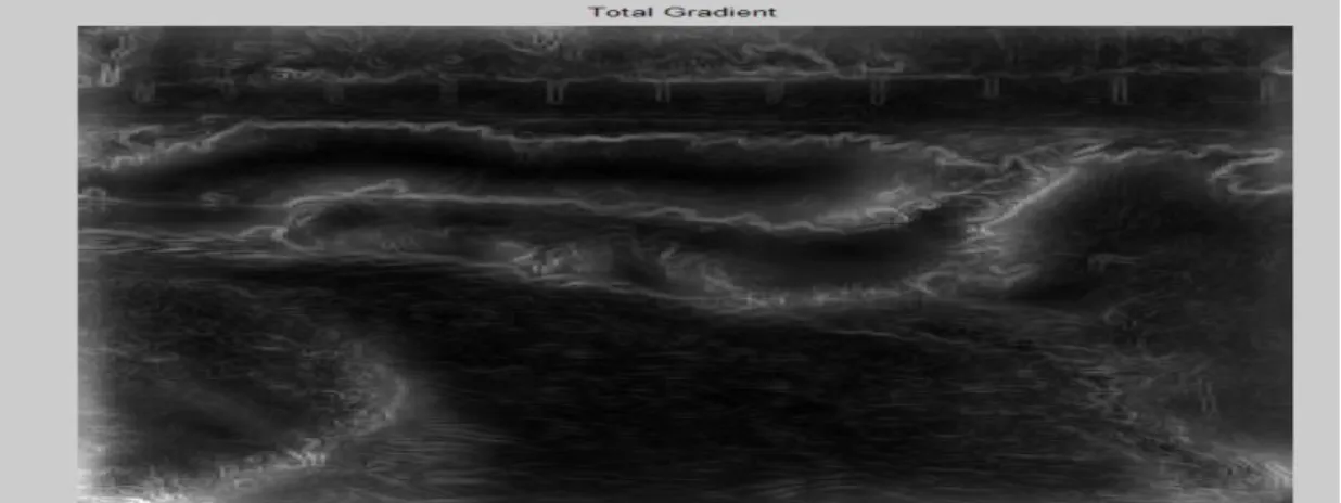 Figure 5. :Total gradient image is input of the watershed algorithm, 