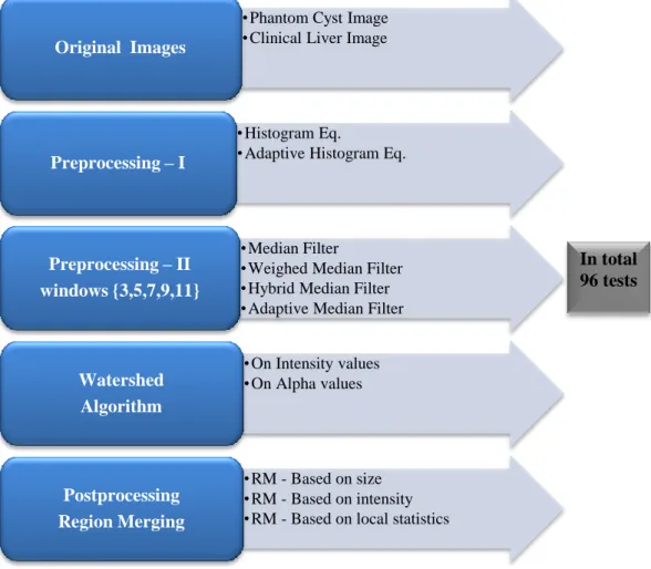 Figure 6.1 : The overall structure of the algorithms used in this thesis. 