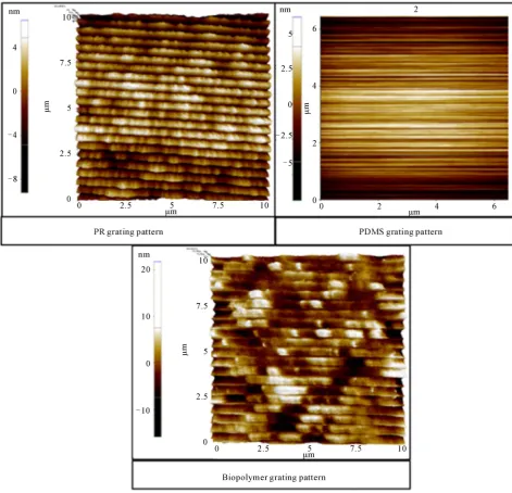 Figure 12. AFM images of the imprinted grating on the biopolymeric waveguide. 