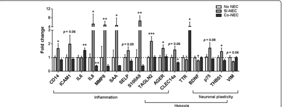 Fig. 4 Inflammation- and hypoxia-related hippocampal gene expression in pigs with or without NEC measured by qPCR