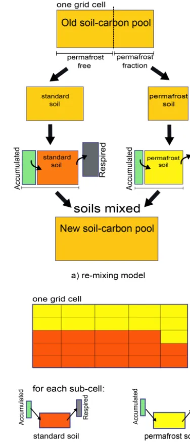 Figure 2. Schematic of a CLIMBER-2P grid cell showing how car-bon is accumulated at each time-step