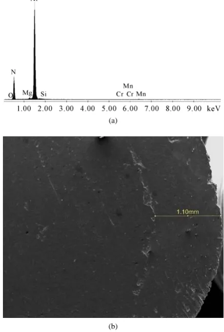 Figure 1. SEM showing uniform distribution of graphite particles in the alloy matrix.  