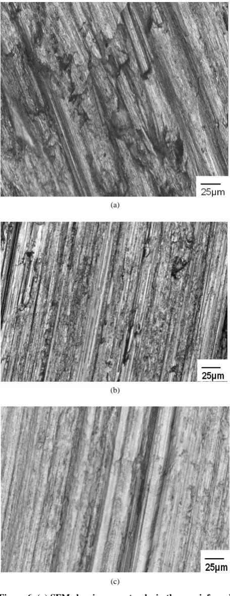 Figure 6. (a) SEM showing wear tracks in the unreinforced alloy; (b) SEM showing wear tracks in the 7% graphite reinforced non-nitrided composite; (c) SEM showing wear tracks in the 7% graphite reinforced and nitrided compo-site
