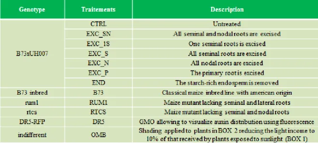 Table S2 Description of Zea mays sp. experiments performed at the UCL laboratory of Louvain La Neuve,  Belgium